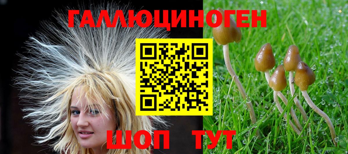 наркота  Галлюциногенные грибы прущие грибы  Вход с VPN  Стерлитамак 